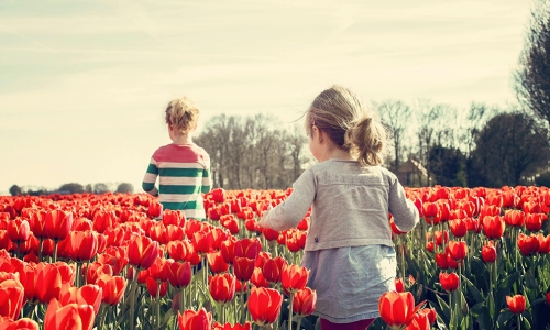 Inscription aux centres de loisirs 
